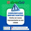 cola-polimerica-goias-cola-para-assentamento